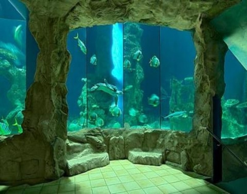 Ηaus des Meeres Aquarium Zoo