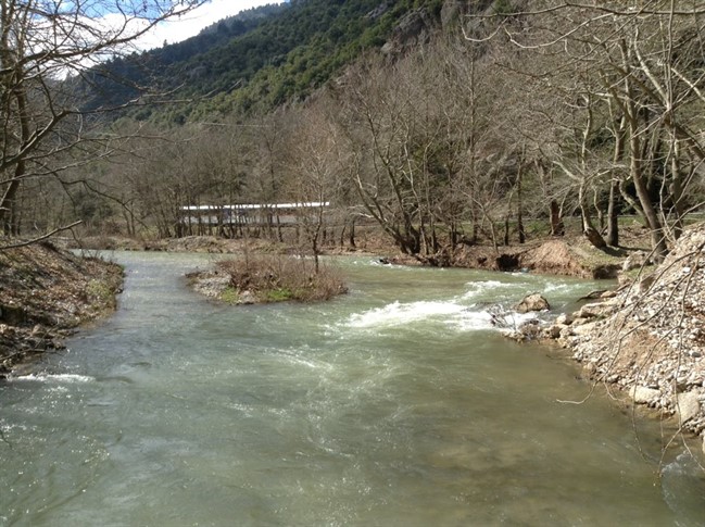 Zaxlorou Oneiro