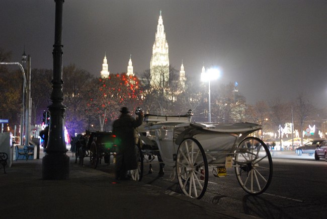 Christmas Market Vienna 2011 199