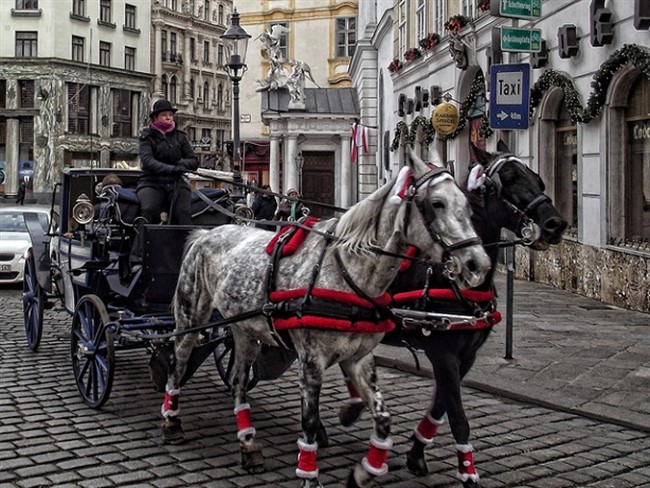 Vienna Αντίγραφο