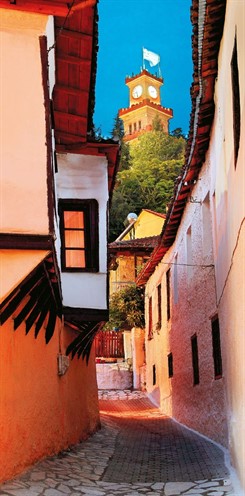 Trikala Katwgi 7