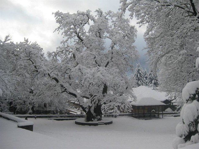 Metsovo4