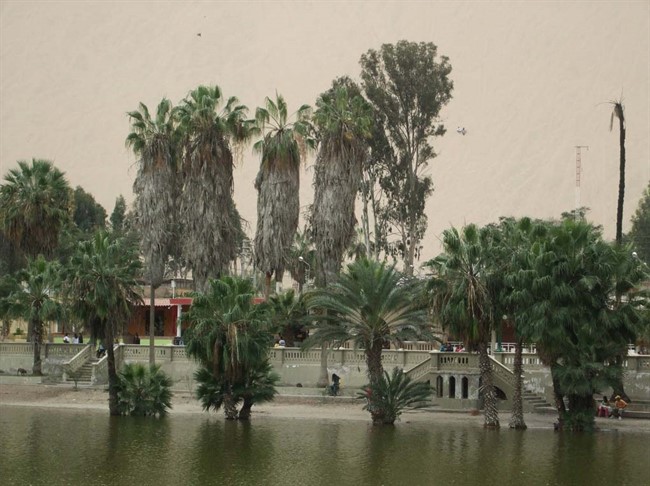 Huacachina 13