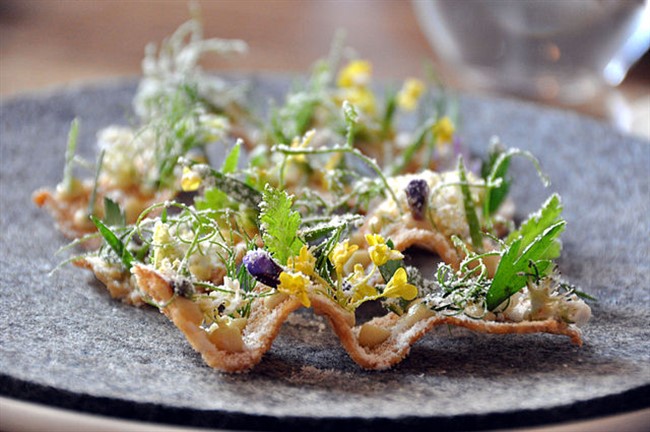 Noma9