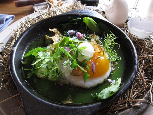 Noma12