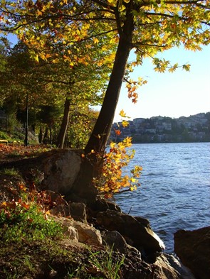Kastoria2